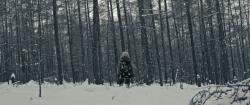 Обои Пугало