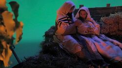 Фото Пусть лев рычит
