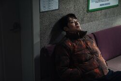 Обои Карма
