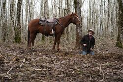 Фото Бескрайнее небо