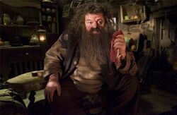 Фото Гарри Поттер и Орден Феникса