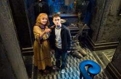 Фото Гарри Поттер и Орден Феникса