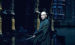 Фото Гарри Поттер и Орден Феникса