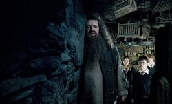 Фото Гарри Поттер и Орден Феникса