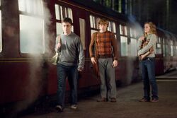 Фото Гарри Поттер и Орден Феникса