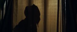 Обои Вонючка