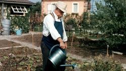 Обои Садовник из Аржантей