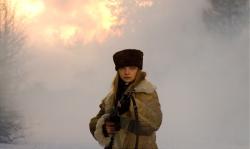 Обои Самка