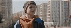 Обои Юрка