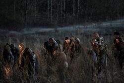Фото Ходячие мертвецы