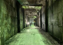 Фото Ходячие мертвецы