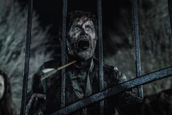 Фото Ходячие мертвецы