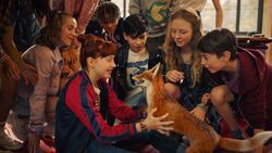 Фото Школа магических зверей