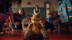 Фото Школа магических зверей