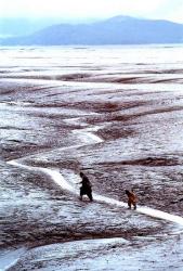 Фото Штрихи огня