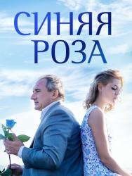 Фото Синяя роза