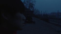 Фото Слон сидит спокойно