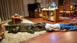 Обои Когда я прихожу домой, моя жена всегда притворяется мёртвой