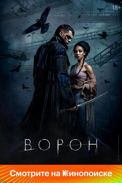 Обои Ворон