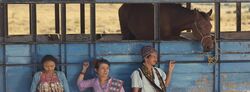 Обои Марлина, убийца в четырёх актах