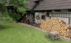 Обои Бессмертная тетушка