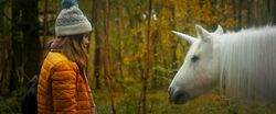 Обои Волшебный единорог