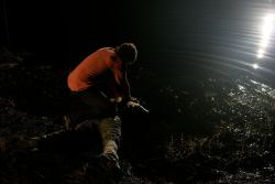 Обои Теория убийств