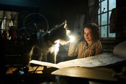 Обои Мой любимый двортерьер