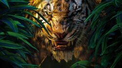 Фото Книга джунглей