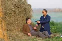 Обои Тёмная лошадка
