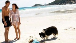 Обои Опасная природа
