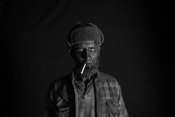 Обои Твин Пикс