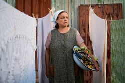 Обои Тимур и его команда