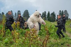 Обои сНежный человек