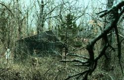 Фото Вход в никуда