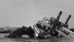 Фото Бегемот — морской монстр