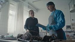 Фото Всё как у людей. Продолжение 2 сезон