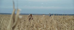 Обои В поисках Адама