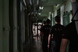 Фото Заключённый