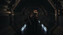 Обои Зигота