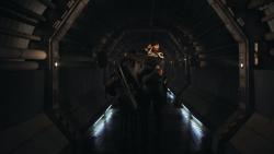 Обои Зигота