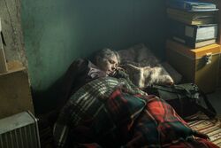 Фото Ходячие мертвецы: Дэрил Диксон