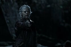 Фото Ходячие мертвецы: Дэрил Диксон