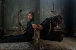 Фото Ходячие мертвецы: Дэрил Диксон
