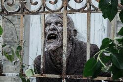 Фото Ходячие мертвецы: Дэрил Диксон