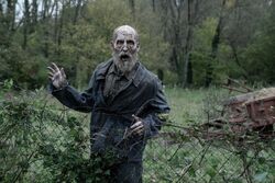 Фото Ходячие мертвецы: Дэрил Диксон
