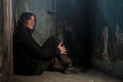 Фото Ходячие мертвецы: Дэрил Диксон