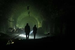 Фото Ходячие мертвецы: Дэрил Диксон