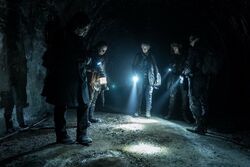 Фото Ходячие мертвецы: Дэрил Диксон