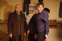 Фото Звёзды